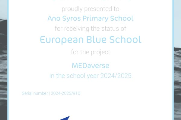 Blue School 2024 – 2025